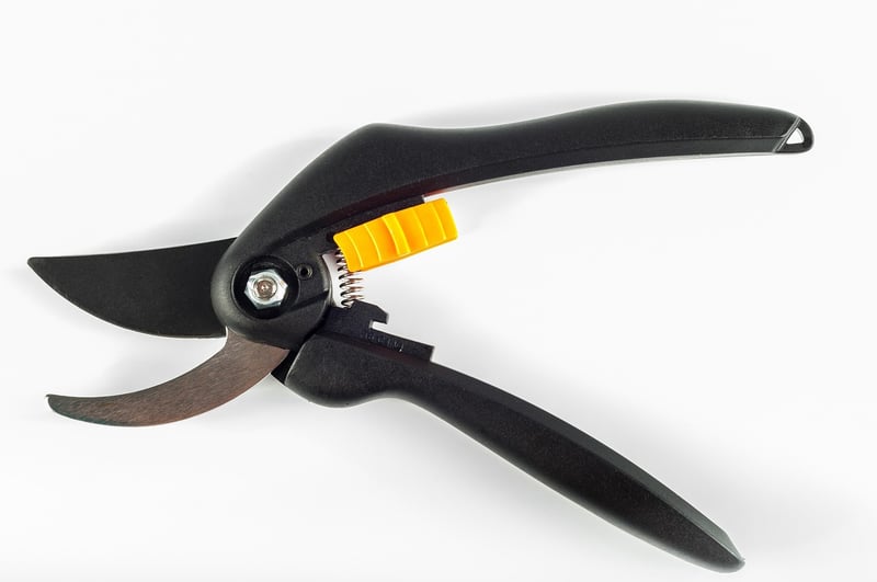 Enchanted Pruners