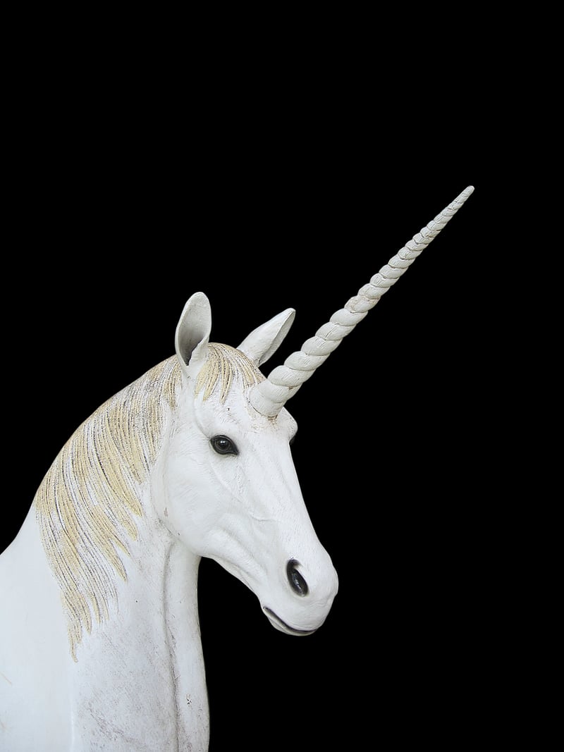 Enchanted unicorn garden
